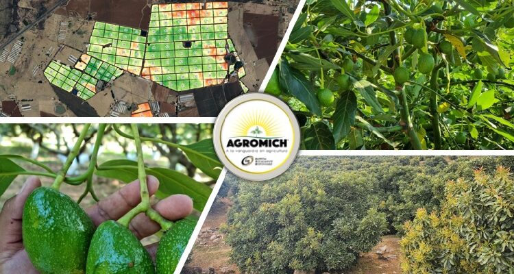 Agromich y la Metodología SMART